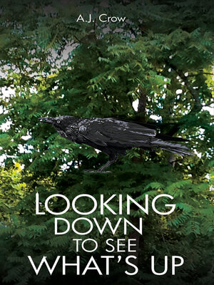 cover image of Looking Down to See What's Up